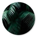 Tableau sur verre rond Botanique tropicale