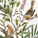 Fotomural de pájaros y mariposas sobre ramas - Kikki Belle