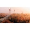 Fototapet Eom - Misty Morning - 480x260 cm