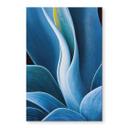 Akrylbillede Wechsler - Planter Stilleben Agave
