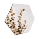 Hexagone - Alu-Dibond Annie - Feuilles séchées