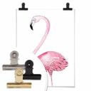 Affiche Kvilis - Flamant rose 01