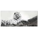 Canvasbillede, Tiger dyreliv natur