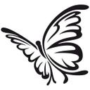 Sommerfugl 5