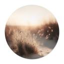 Plakat Treechild - solnedgang over klitterne