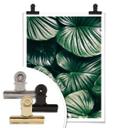 Póster - Jungla urbana - Alokasie Calidora