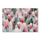 Tableau sur verre Annie - Tulipes de printemps