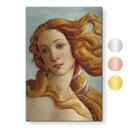 Geborsteld Alu-Dibond met goud-, zilver- & kopereffect - Portret van Venus - Botticelli