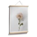 Plakat - Annie - The Rose