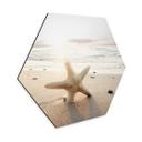 Hexagone - alu-Dibond Une étoile de mer étincelante sur une plage déserte