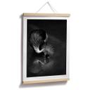 Póster Tjandra - Reflejo de pájaro - blanco y negro