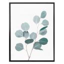 Plakat - Sisi & Seb - Blå eucalyptus