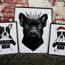 Plakat - Solti - Xmas is coming
