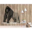 Livingwalls Fototapet Walls by Patel 2 Born to be Wild 3