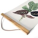 Tekstil plakat Illustration af blade - Bignonia Argyro Violascea