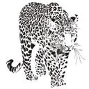 Leoparden