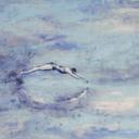 Guido Maria Kretschmer Papier peint photo Art Edition Plongeon