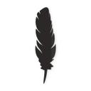 Pluma decorativa acrílica