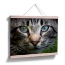 Plakat - Cuadrado - In your eyes
