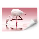 Zelfklevende Poster Reindl - Pink Flamingo
