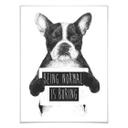 Plakat - Solti - Being normal is boring