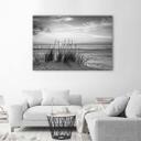 Canvasbillede, Græs på strand - sort og hvid