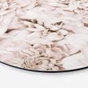 Tableau sur alu-Dibond 1X Studio - Reine marguerite abricot - Rond