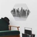Hexagon Dibond Xu - Foggy Forest