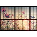 Livingwalls Fototapet Walls by Patel 2 meadow 1