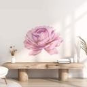 Sticker mural pivoine rose