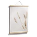 Plakat - 1X Studio - Grass