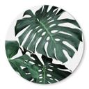 Glasschilderij Rond Sisi & Seb - Monstera