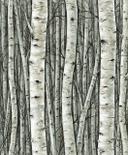 Papel pintado no tejido con bosques y hayas verdes florales
