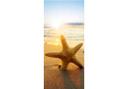 Poster de Porte - Étoile de Mer dans le sable