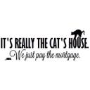 It's really the cat's house.