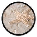 Póster Estrella de mar en la playa dorada - Redondo