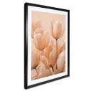 Póster de tulipanes color melocotón - Treechild