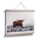 Plakat van den Helm - Highlander