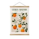 Tekstil plakat Boho-appelsintræ - Citrus Sinensis - Tunaboylu