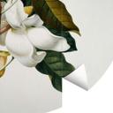 Fototapet - Rundt Ehret - Magnolia - vliesetapet/selvklæbende non-woven tapet
