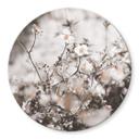 Tableau sur verre Annie - Fleurs sauvages - Rond