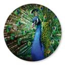 Plateau de table en verre rond - Paon