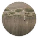 Houten Wanddecoratie lotusbloemen met zwaan in het water in grijs - Ms Tiff - Rond