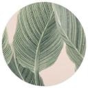 Tapet cirkel Calathea-plante - Sisi & Seb - vliesetapet/selvklæbende non-woven tapet