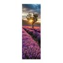 Póster de tela Flor de lavanda en Provenza - Panorama