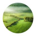 Póster Campos idílicos en la niebla - Keller - Redondo