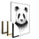 Póster Kvilis - Oso panda