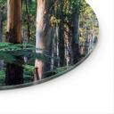Glasbillede - Eukalyptus skov i Yarra Ranges - Colombo - Runde