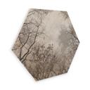 Hexagon Hout High in the Trees