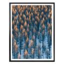Póster Bingo - Amanecer en el bosque